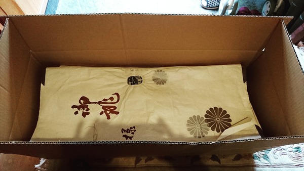 IMG_20170713_205209_429