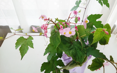 1630708875103_copy_2492x1548