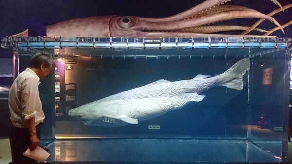 IMG_20170727_170305_508