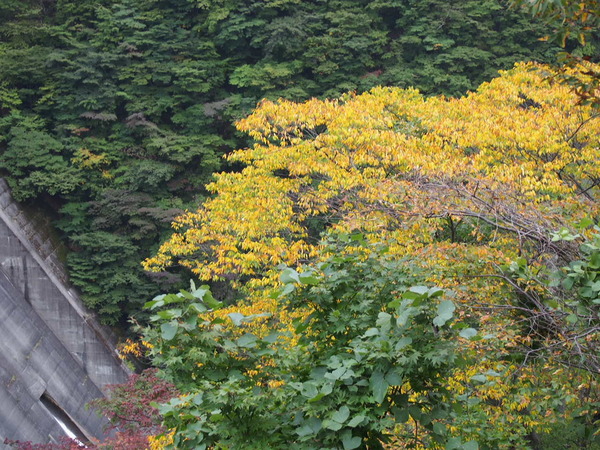 P8293219