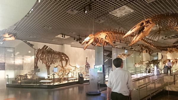 IMG_20170727_172034_773