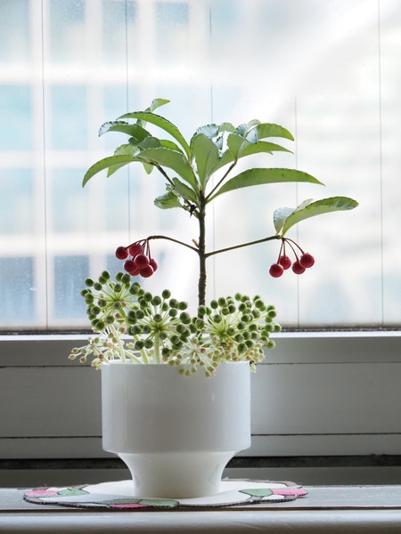 Point Blur_20211214_075239