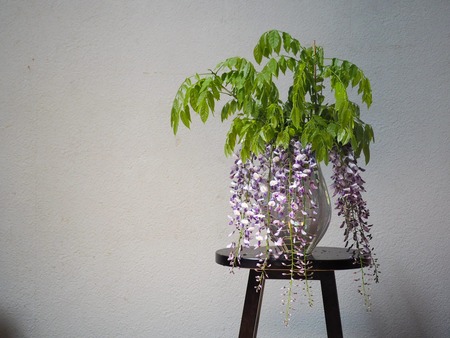 IMG_20200430_105710_869