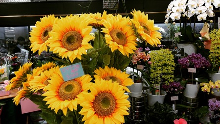 IMG_20190721_124330_477