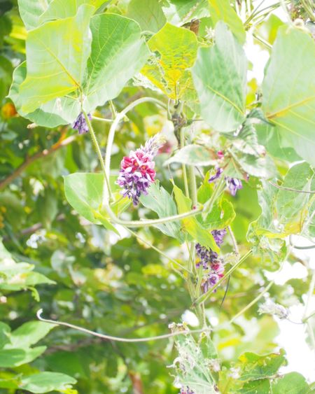 sketch-1631505002311