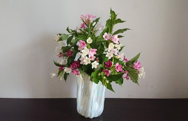 IMG_20180526_091342_258