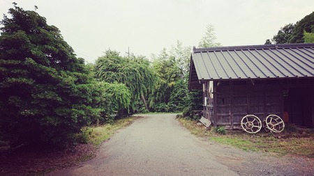 IMG_20210711_085118_761