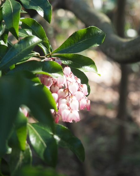 IMG_20200311_183709_847