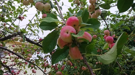 IMG_20180904_141748_320