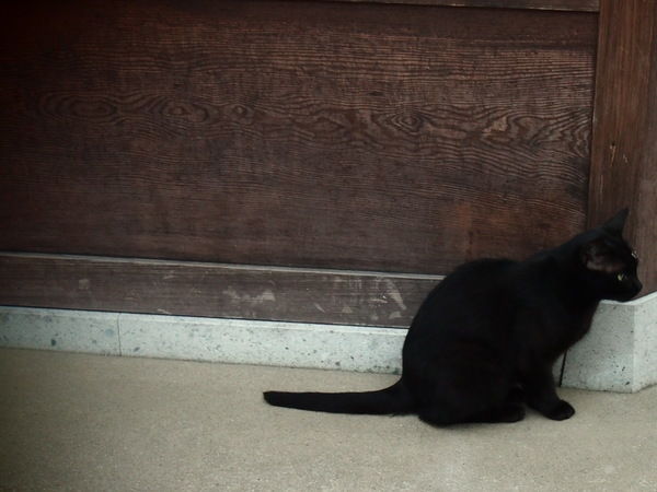 c0352413_20515599 - コピー