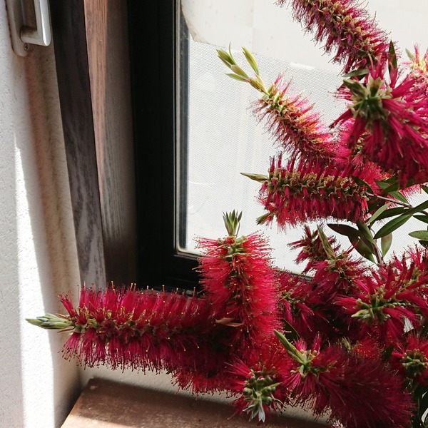 IMG_20180527_105154_773