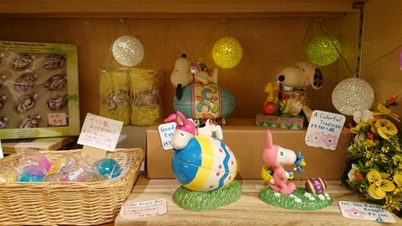 IMG_20190219_164152_351