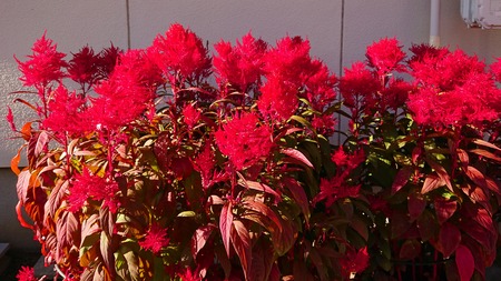 IMG_20181016_212636_297