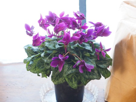 IMG_20200111_154611_819