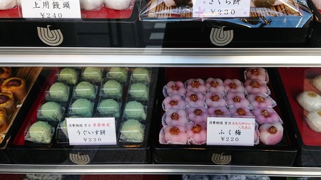 IMG_20200204_122739_812