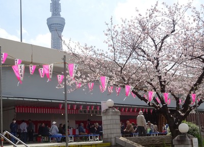 ������ޤĤ�ַݵ��㲰��