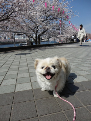 2015_0331_135202-DSC03351