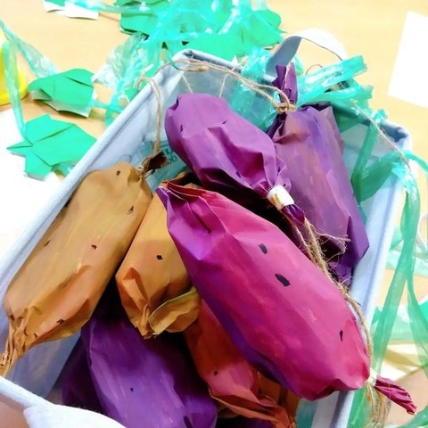 316800117_1484071305422572_3737021819210861415_n