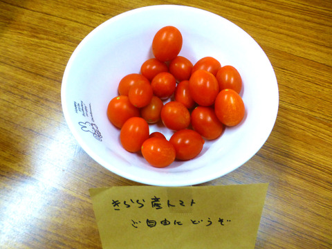 P1150795