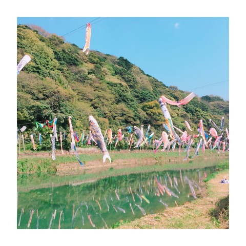 image1 (1)
