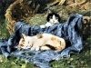 two kittens