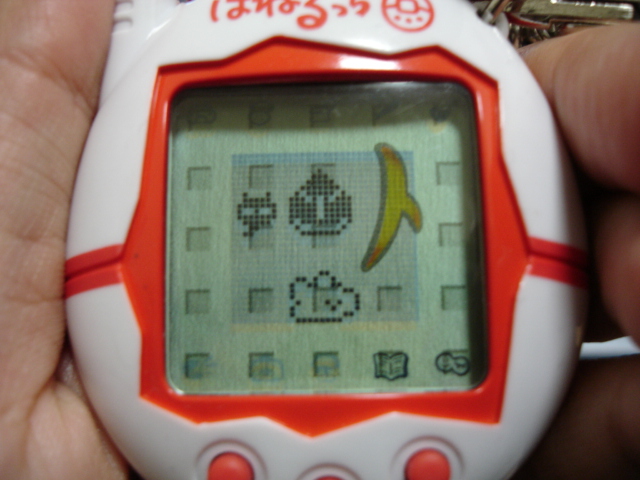 ひとでっち復活 チューリップのたまごっち