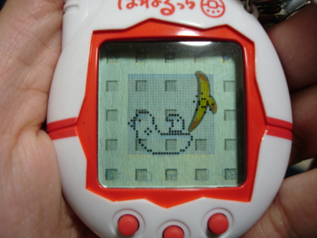 しろぷちっち チューリップのたまごっち