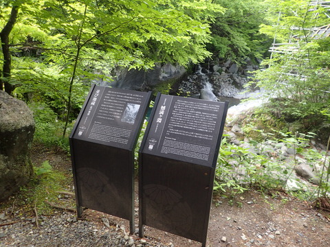 P5301737