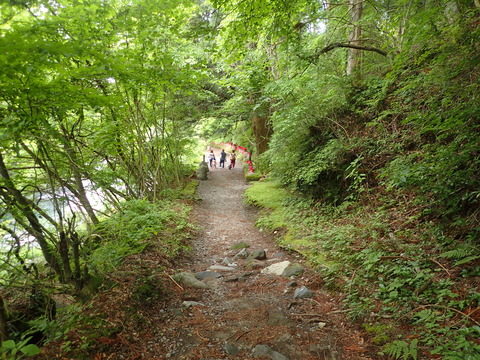 P5301726