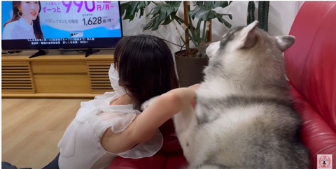 スクリーンショット 2021-09-02 094531