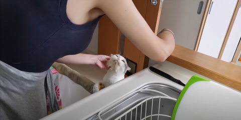 スクリーンショット 2021-09-01 092856