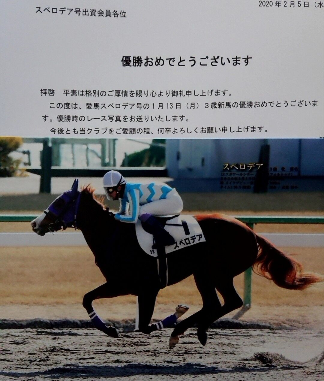 メシウマ 競馬 メシ馬の競馬理論 メシウマ 競馬 メシ馬の競馬理論