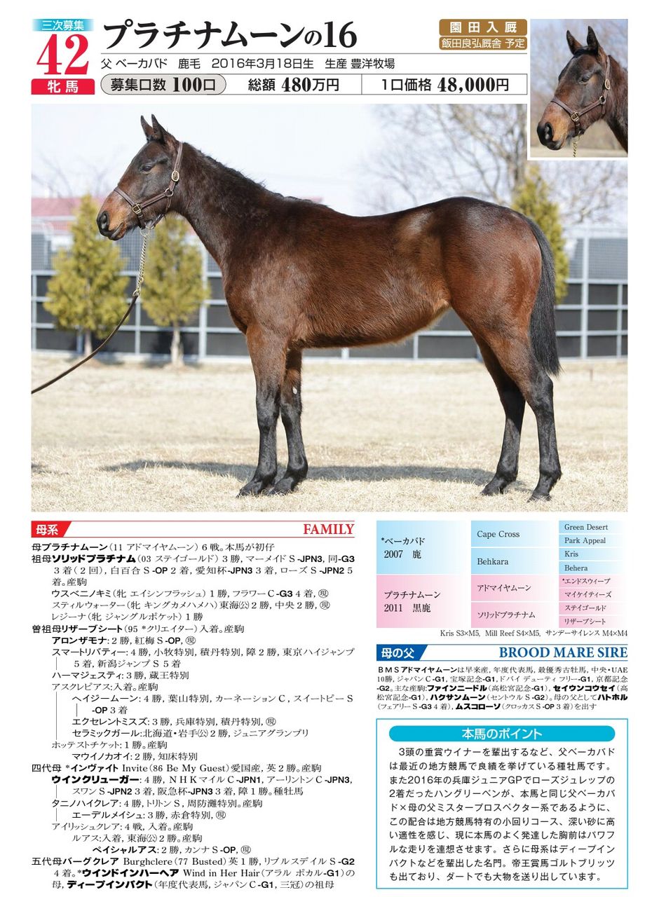マンディ16年産三次募集 ツモプロブルース マンディ16年産三次募集 ツモプロブルース