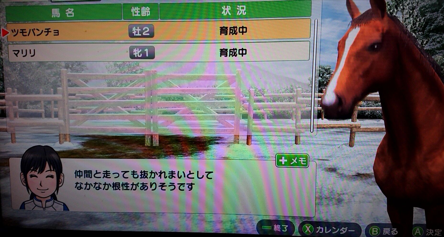 ダービースタリオン Switch ツモプロブルース ダービースタリオン Switch ツモプロブルース