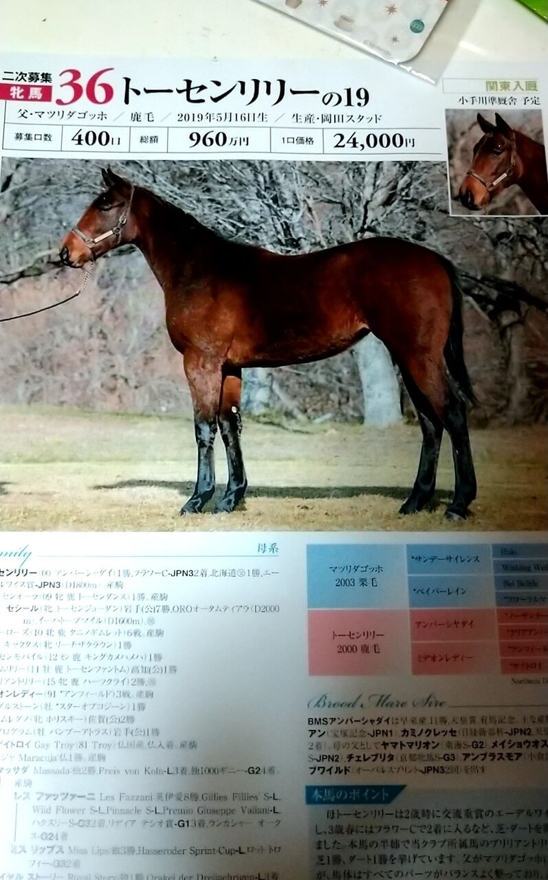 西新宿 山本家 ツモプロブルース 西新宿 山本家 ツモプロブルース