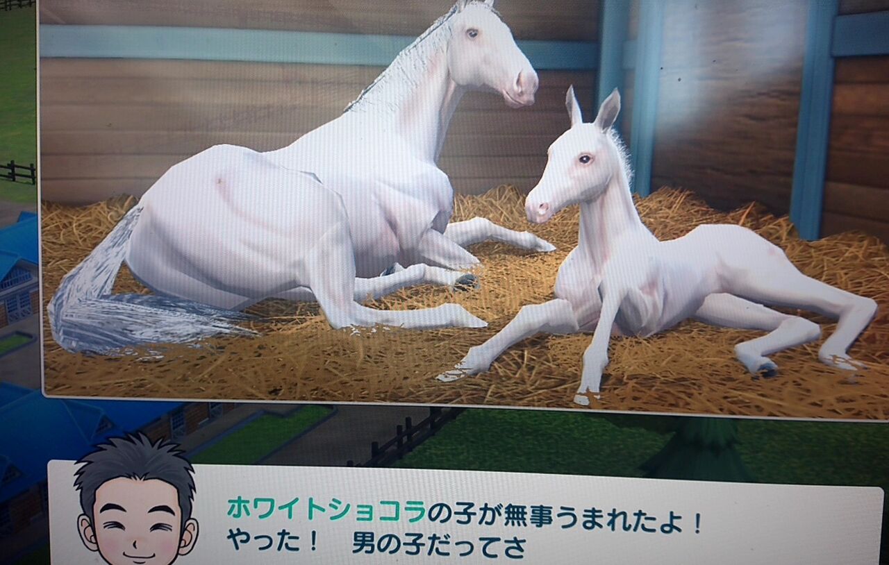 ダビスタswitch 白毛ちゃんいらっしゃ い ツモプロブルース ダビスタswitch 白毛ちゃんいらっしゃ い ツモプロブルース