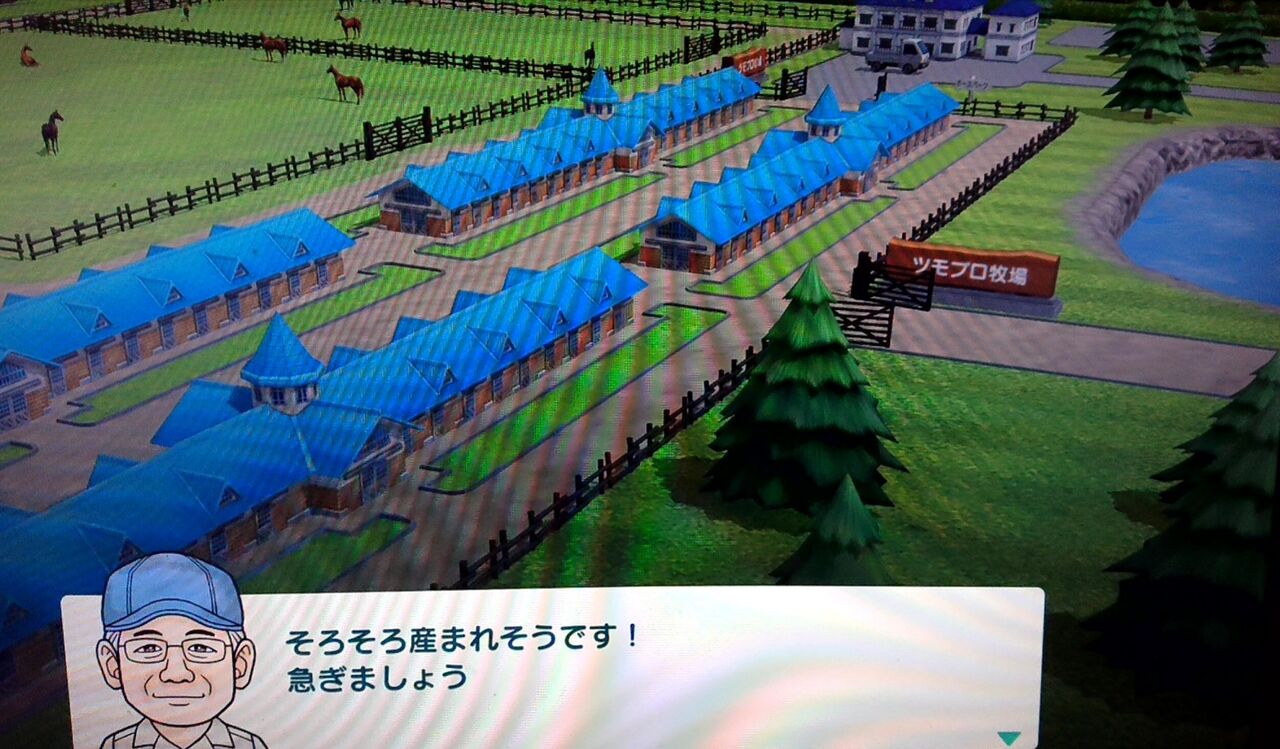 ダビスタswitch 見事な配合 ツモプロブルース ダビスタswitch 見事な配合 ツモプロブルース