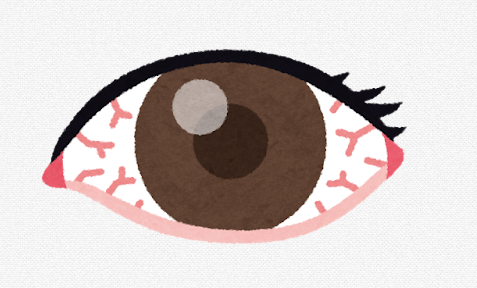 スクリーンショット 2025-02-25 104346