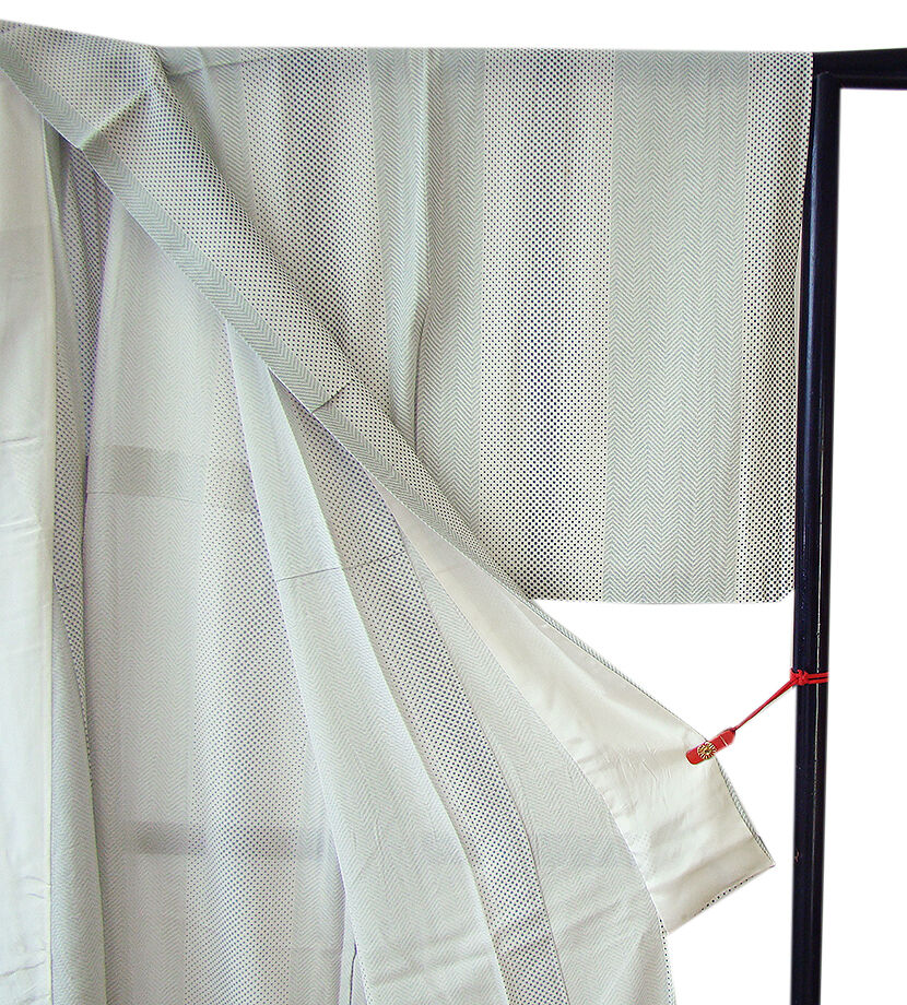 きものしらゆり 身丈166cm 裄69cm 7月・8月 夏物 身幅広め ロング寸 駒絽 小紋 正絹 身長160cm～167cmの方に最適 同梱可 I935