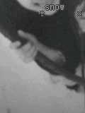 0e4536f3.jpg