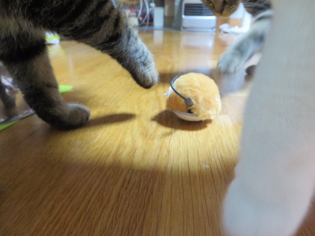 ネズミ おもちゃです ８猫８柄 A日記