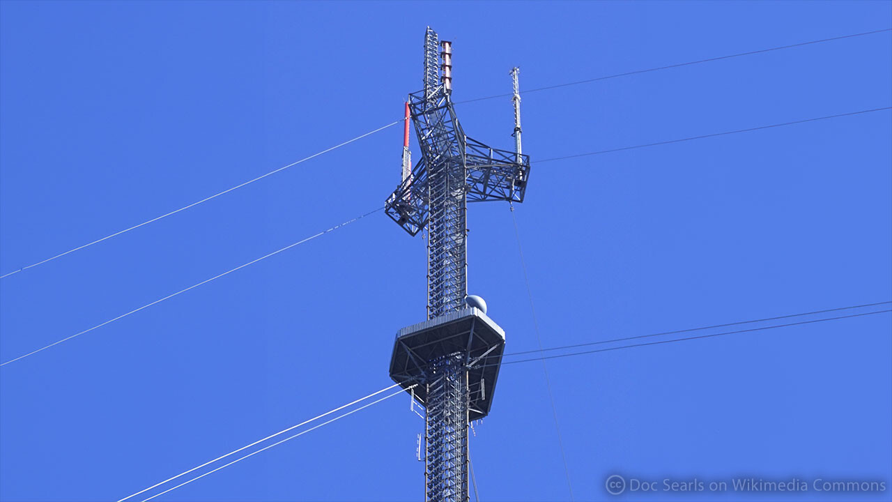 gcoole  逆さ撮り レビュー 