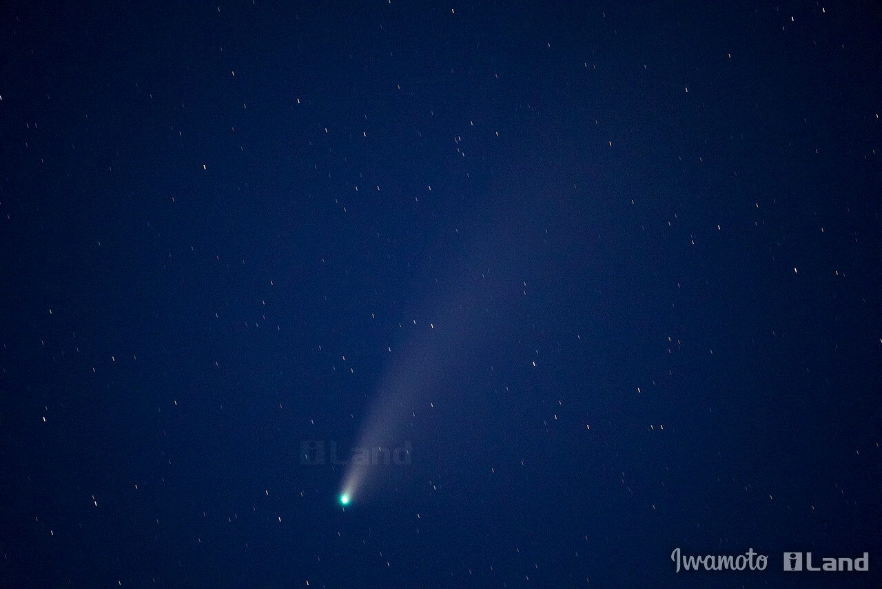 ネオワイズ彗星(C/2020 F3)