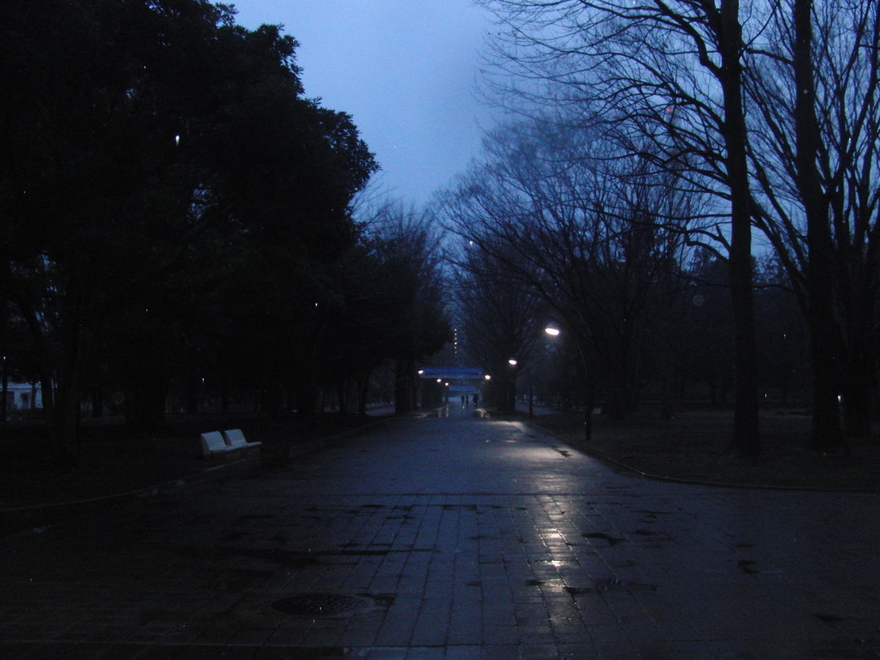 氷雨降る薄暗い公園散歩街灯がブロック毎に消灯 29日 Tune108 Blog