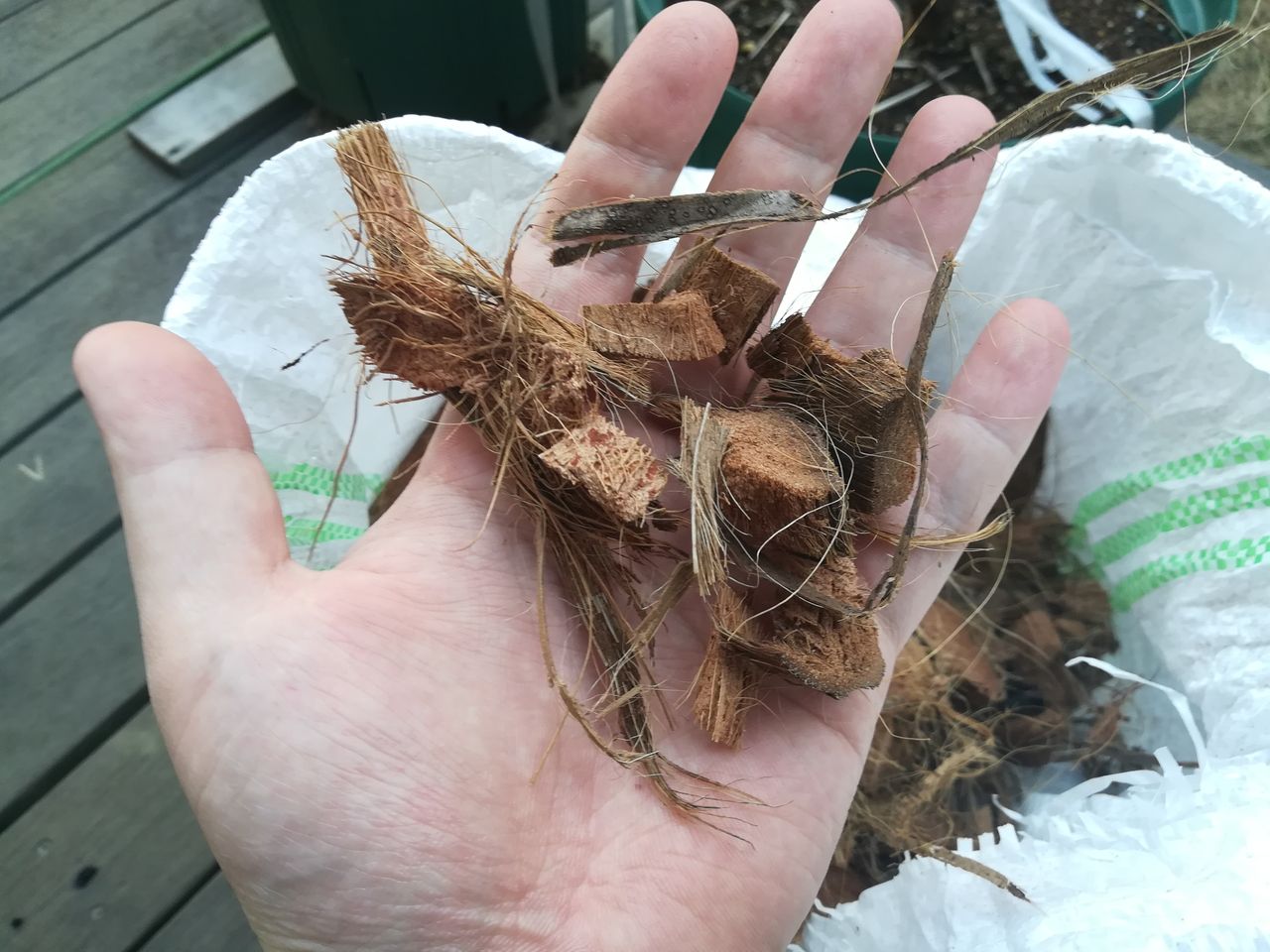 購入したココチップが予想外に粒が大きかった 果樹ログ 果樹を育てて食べる 購入したココチップが予想外に粒が大きかった 果樹ログ 果樹を育てて食べる