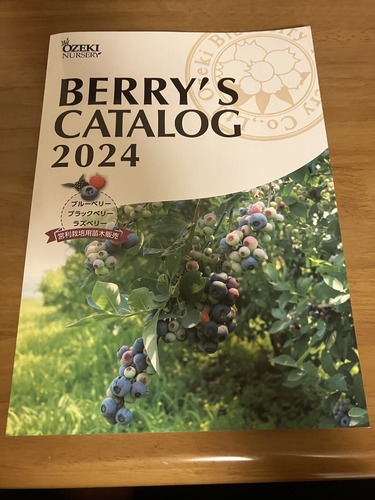 BC175FDF-8459-400E-9D36-0A90F03D8D3A