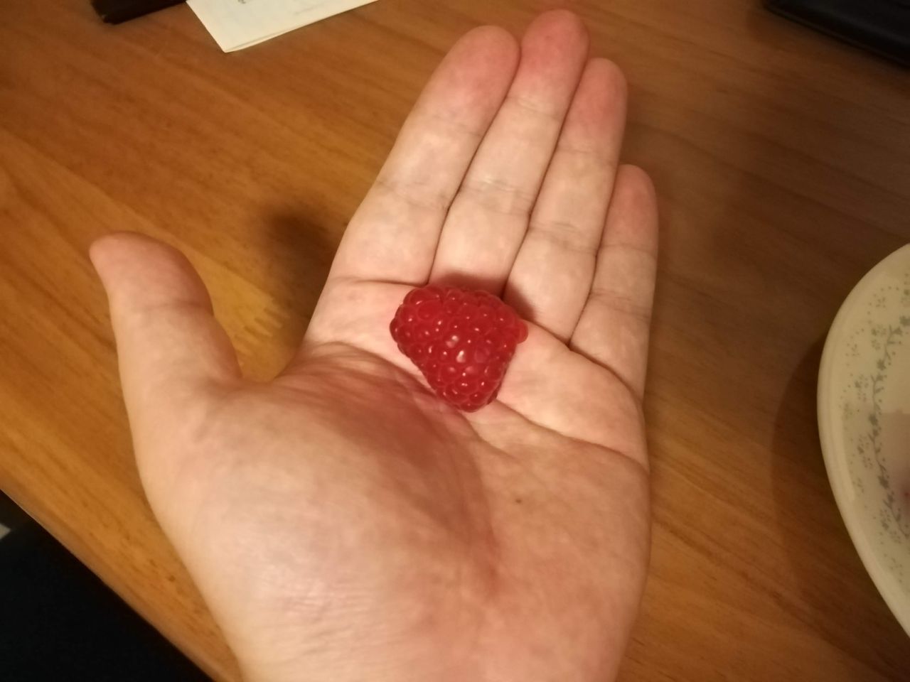 ドリスコルのラズベリーのタネが芽吹いた 果樹ログ 果樹を育てて食べる