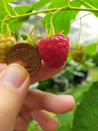 IMG20210520084302ジョンスクエアー