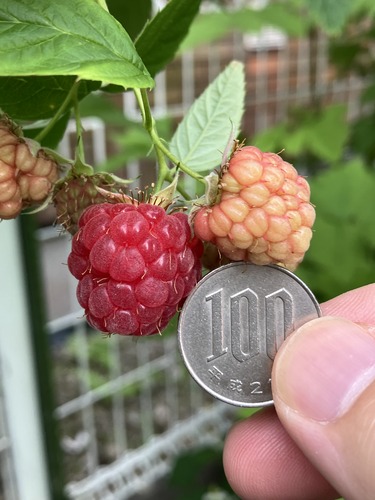 700BF8EA-FAE6-4074-9A62-17573371B3B9