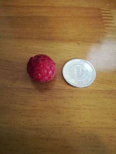 IMG_20190528_100453オータムブリス